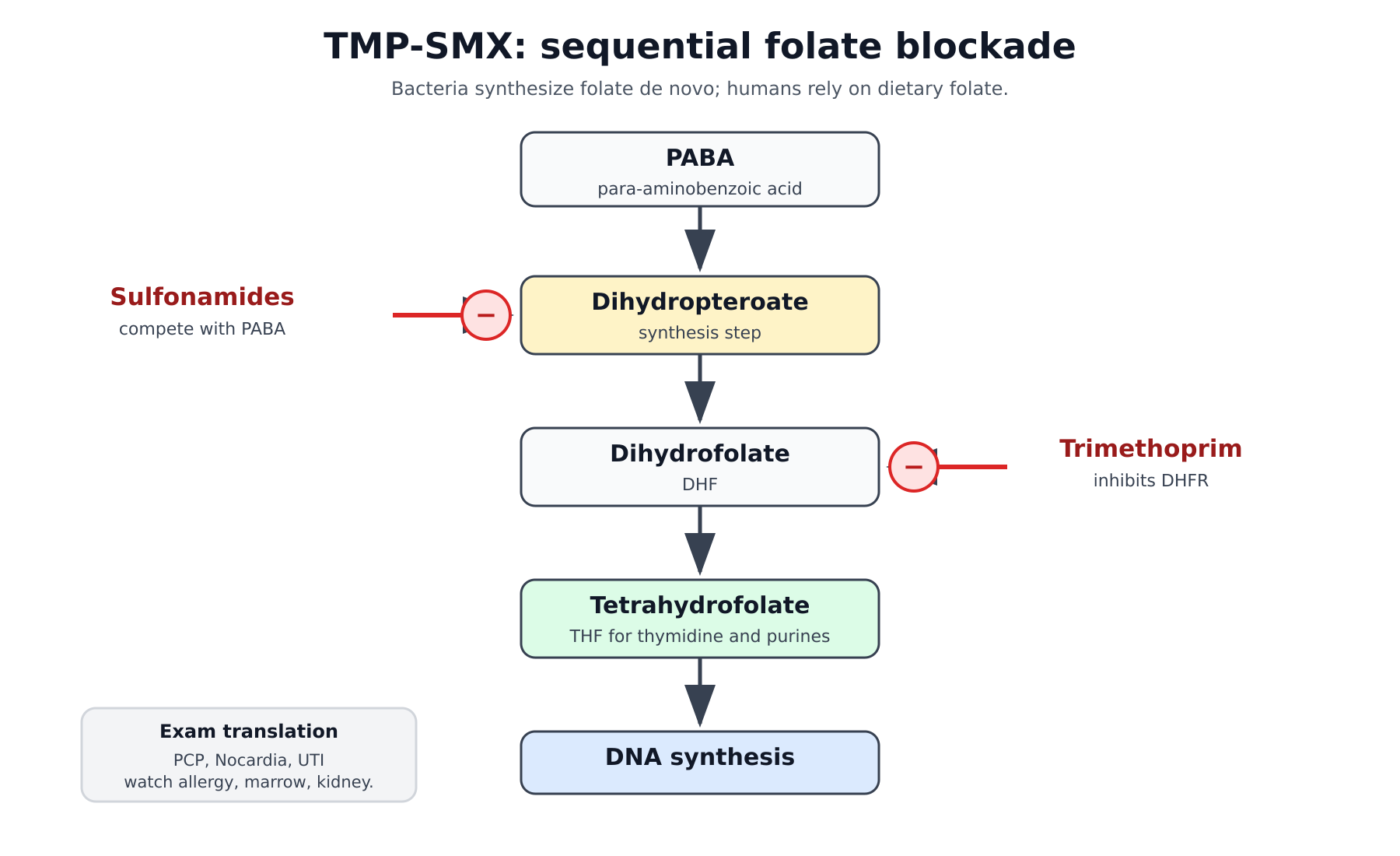 TMP-SMX sequential folate blockade